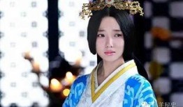 卫子夫连续剧在线观看