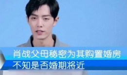 爆料肖战爸妈视频大全,揭秘明星家庭日常