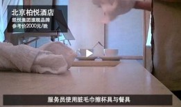 康家历史爆料视频,独家爆料视频深度解析